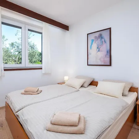 In With Wifi Apartman Valbandon