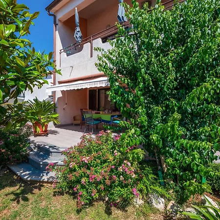 Apartman In With Wifi