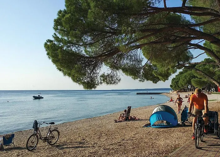 Appartement In With Wifi